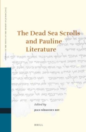 Rey |  The Dead Sea Scrolls and Pauline Literature | Buch |  Sack Fachmedien