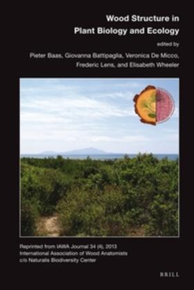 Baas |  Wood Structure in Plant Biology and Ecology | Buch |  Sack Fachmedien