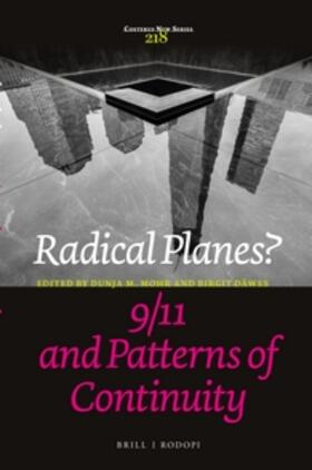  Radical Planes? 9/11 and Patterns of Continuity | Buch |  Sack Fachmedien