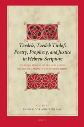 Gow / Sabo |  Tzedek, Tzedek Tirdof: Poetry, Prophecy, and Justice in Hebrew Scripture | Buch |  Sack Fachmedien