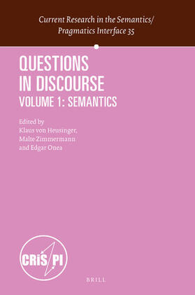  Questions in Discourse | Buch |  Sack Fachmedien