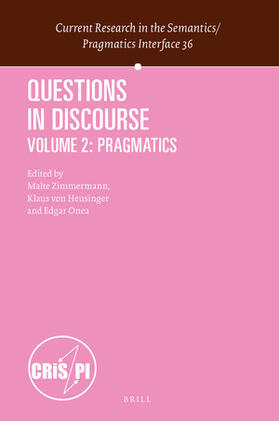  Questions in Discourse | Buch |  Sack Fachmedien