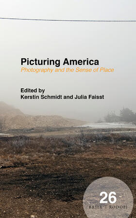  Picturing America | Buch |  Sack Fachmedien