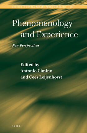 Cimino / Leijenhorst |  Phenomenology and Experience | Buch |  Sack Fachmedien