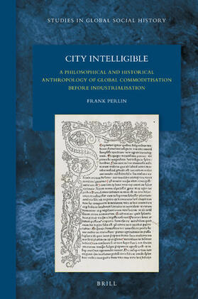 Perlin |  City Intelligible | Buch |  Sack Fachmedien