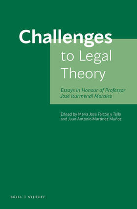 Falcón y Tella / Martínez Muñoz |  Challenges to Legal Theory | Buch |  Sack Fachmedien