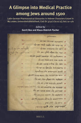 Bos / Fischer |  A Glimpse Into Medical Practice Among Jews Around 1500 | Buch |  Sack Fachmedien