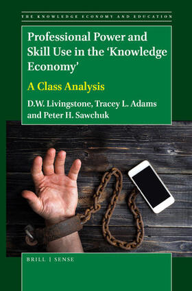 Livingstone / Adams / Sawchuk |  Professional Power and Skill Use in the 'Knowledge Economy' | Buch |  Sack Fachmedien