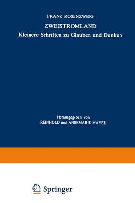 Rosenzweig / Mayer |  Zweistromland | Buch |  Sack Fachmedien