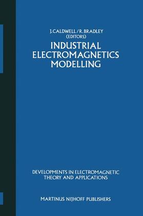Caldwell / Bradley |  Industrial Electromagnetics Modelling | Buch |  Sack Fachmedien