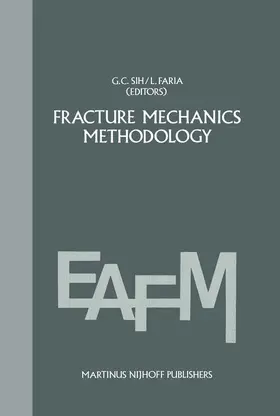 Faria / Sih |  Fracture mechanics methodology | Buch |  Sack Fachmedien