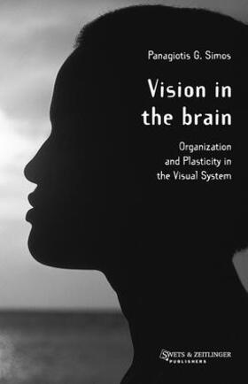 Simos |  Vision in the Brain | Buch |  Sack Fachmedien