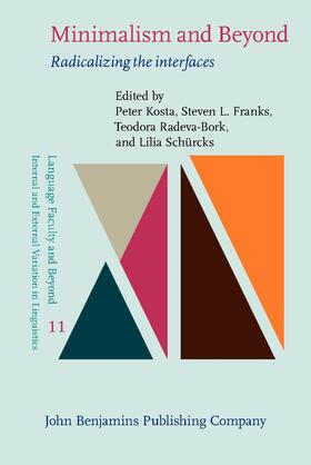 Kosta / Franks / Radeva-Bork |  Minimalism and Beyond | Buch |  Sack Fachmedien