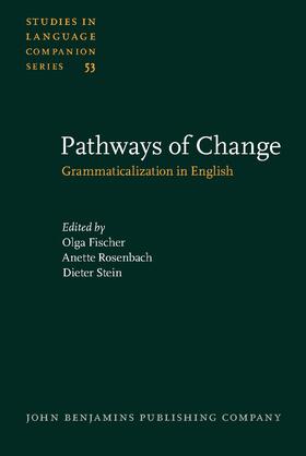 Fischer / Rosenbach / Stein |  Pathways of Change | Buch |  Sack Fachmedien