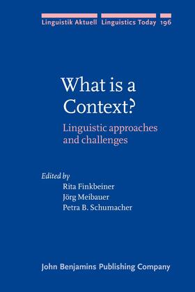 Finkbeiner / Meibauer / Schumacher |  What is a Context? | Buch |  Sack Fachmedien