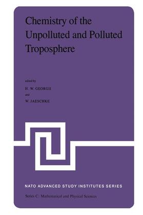 Georgii / Jaeschke |  Chemistry of the Unpolluted and Polluted Troposphere | Buch |  Sack Fachmedien