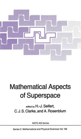 Seifert / Rosenblum / Clarke |  Mathematical Aspects of Superspace | Buch |  Sack Fachmedien