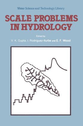 Gupta / Wood / Rodriguez-Iturbe |  Scale Problems in Hydrology | Buch |  Sack Fachmedien