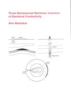 Abubakar | Three-Dimensional Nonlinear Inversion of Electrical Conductivity | Buch | 978-90-407-2105-2 | sack.de