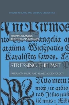  STRESSING THE PAST | Buch |  Sack Fachmedien