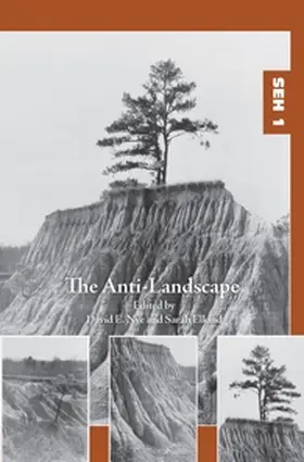  The Anti-Landscape | Buch |  Sack Fachmedien