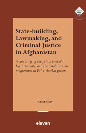 Amin |  State-Building, Lawmaking, and Criminal Justice in Afghanistan | Buch |  Sack Fachmedien