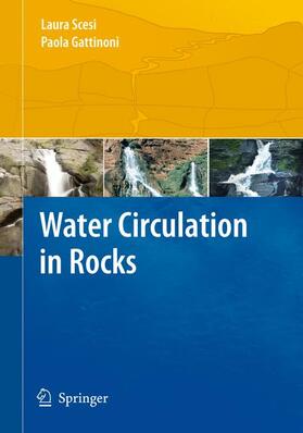 Scesi / Gattinoni |  Water Circulation in Rocks | Buch |  Sack Fachmedien