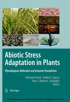 Pareek / Sopory / Bohnert |  Abiotic Stress Adaptation in Plants | eBook | Sack Fachmedien