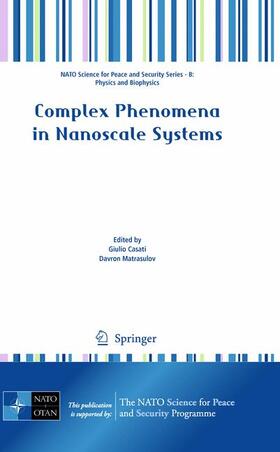Casati / Matrasulov |  Complex Phenomena in Nanoscale Systems | Buch |  Sack Fachmedien