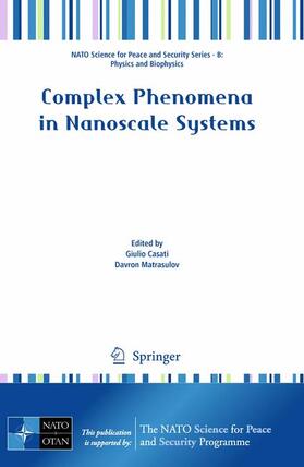 Matrasulov / Casati |  Complex Phenomena in Nanoscale Systems | Buch |  Sack Fachmedien