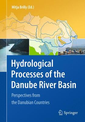 Brilly |  Hydrological Processes of the Danube River Basin | Buch |  Sack Fachmedien
