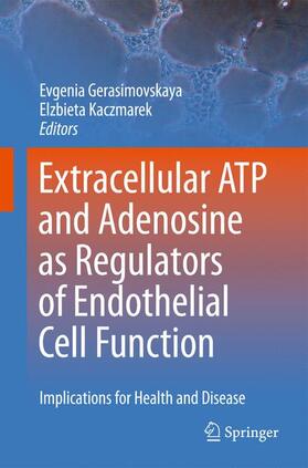 Kaczmarek / Gerasimovskaya |  Extracellular ATP and adenosine as regulators of endothelial cell function | Buch |  Sack Fachmedien