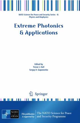 Hall / Gaponenko | Extreme Photonics & Applications | Buch | 978-90-481-3633-9 | sack.de