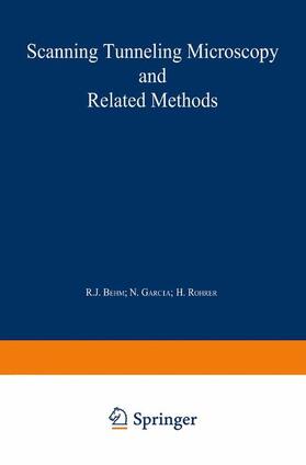 Behm / Rohrer / García |  Scanning Tunneling Microscopy and Related Methods | Buch |  Sack Fachmedien