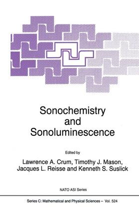 Crum / Suslick / Mason |  Sonochemistry and Sonoluminescence | Buch |  Sack Fachmedien