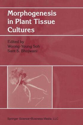 Bhojwani / Soh |  Morphogenesis in Plant Tissue Cultures | Buch |  Sack Fachmedien