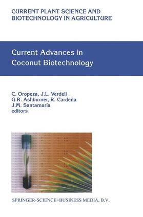 Oropeza / Verdeil / Santamaría |  Current Advances in Coconut Biotechnology | Buch |  Sack Fachmedien
