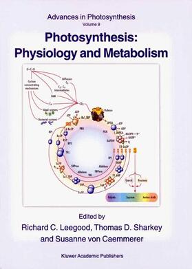 Leegood / von Caemmerer / Sharkey |  Photosynthesis: Physiology and Metabolism | Buch |  Sack Fachmedien