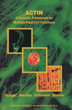 Staiger / Barlow / Baluska |  Actin: A Dynamic Framework for Multiple Plant Cell Functions | Buch |  Sack Fachmedien