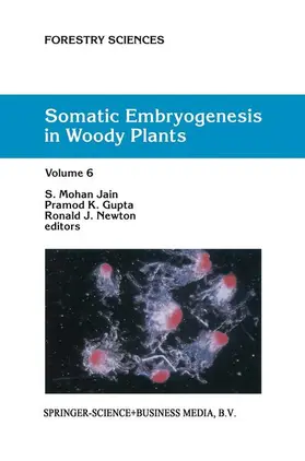 Jain / Newton / Gupta |  Somatic Embryogenesis in Woody Plants | Buch |  Sack Fachmedien