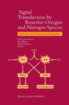 Forman / Torres / Fukuto | Signal Transduction by Reactive Oxygen and Nitrogen Species: Pathways and Chemical Principles | Buch | 978-90-481-6216-1 | sack.de