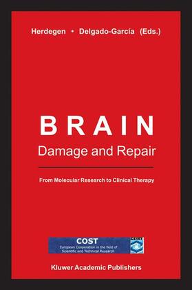 Delgado-Garcia / Herdegen |  Brain Damage and Repair | Buch |  Sack Fachmedien