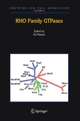 Manser |  Rho Family GTPases | Buch |  Sack Fachmedien