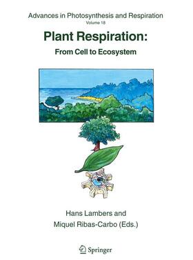 Lambers / Univ. de les Illes Balears / Universitat Illes Balears |  Plant Respiration | Buch |  Sack Fachmedien