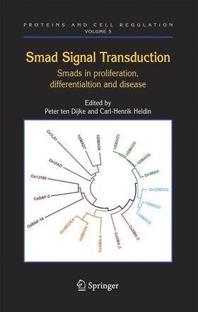 Heldin / Dijke |  Smad Signal Transduction | Buch |  Sack Fachmedien