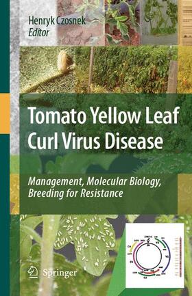Czosnek |  Tomato Yellow Leaf Curl Virus Disease | Buch |  Sack Fachmedien