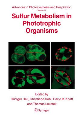Hell / Leustek / Dahl |  Sulfur Metabolism in Phototrophic Organisms | Buch |  Sack Fachmedien