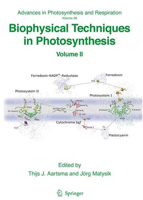 Matysik / Aartsma |  Biophysical Techniques in Photosynthesis | Buch |  Sack Fachmedien