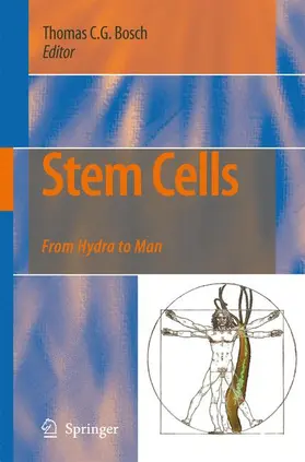 Bosch |  Stem Cells | Buch |  Sack Fachmedien