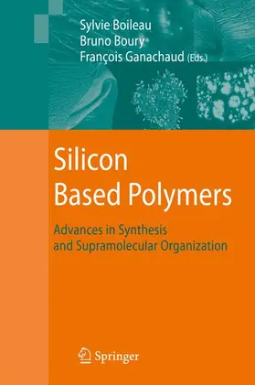 Ganachaud / Boury / Boileau |  Silicon Based Polymers | Buch |  Sack Fachmedien